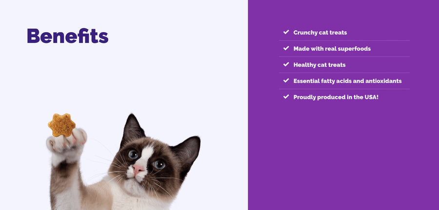 *Crunchy cat treats
*Made with real superfoods
*Healthy cat treats
*Essential fatty acids and antioxidants
*Proudly produced in the USA!