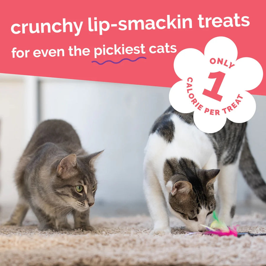 Crunchy lip-smackin treats for even the pickiest cats.