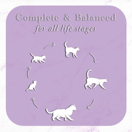 Fussie Cat Fine Dining Pate Mackerel & Beef Cat Food Can 80g, Complete & Balanced All Life Stages