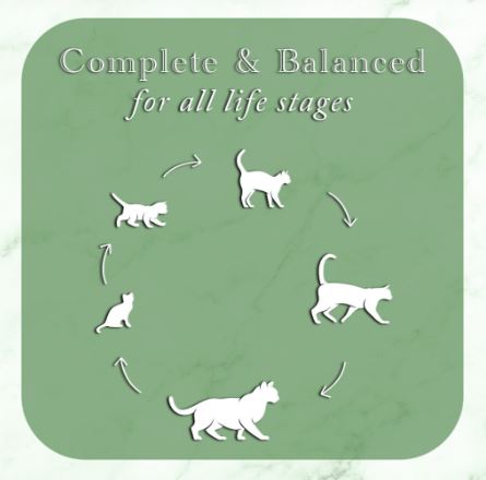 Fussie Cat Fine Dining Pate Oceanfish & Salmon Cat Food Can, Complete & Balanced All Life Stages