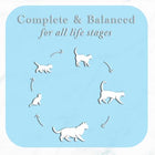 Fussie Cat Fine Dining Pate Tuna & Vegetable Cat Food Can 80g, Complete & Balanced for All Life Stages