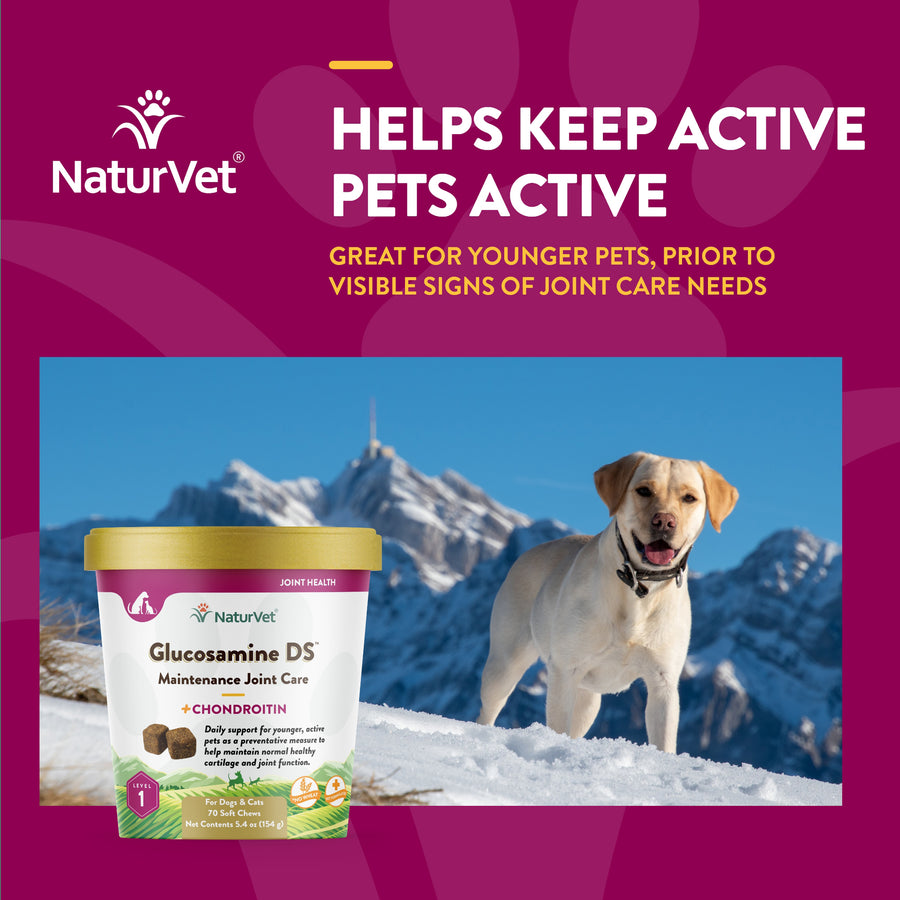 NaturVet Glucosamine DS Level 1 Soft Chews