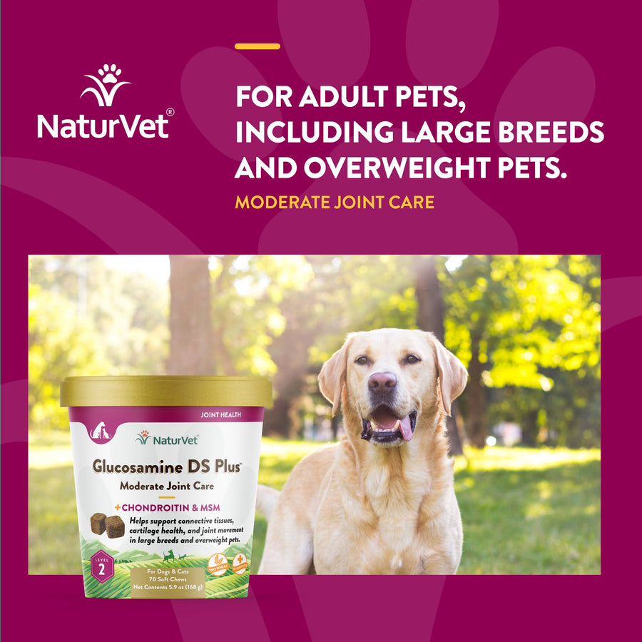 NaturVet Glucosamine DS Plus Level 2 Soft Chews