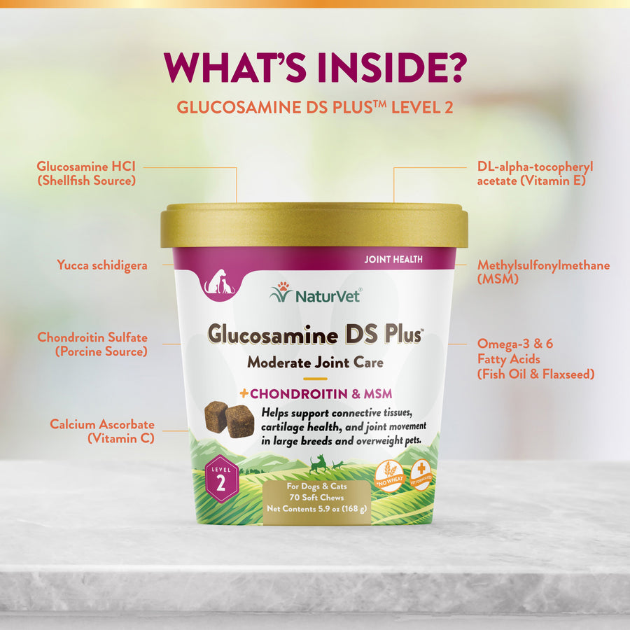 NaturVet Glucosamine DS Plus Level 2 Soft Chews