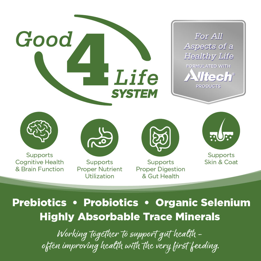 Working together to support gut health- often improving health with the very first feeding.