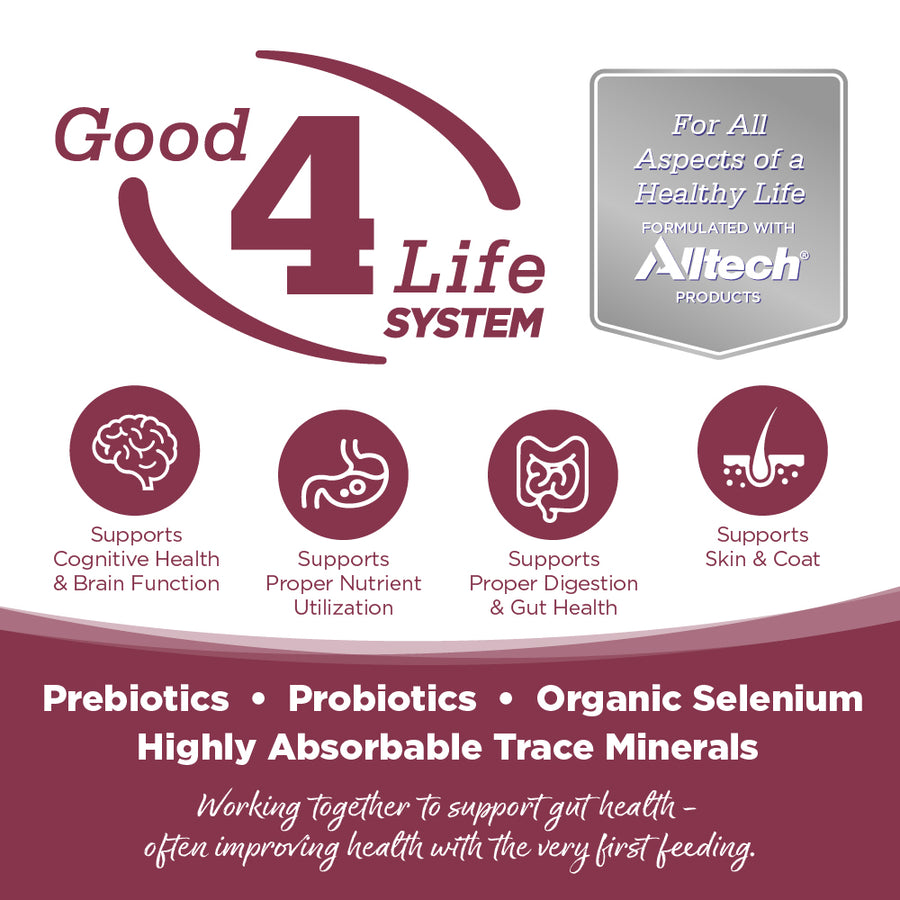Working together to support gut health- often improving health with the very first feeding.