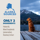 Alaska Sourced Grizzly Pollock Oil for Dogs only has 3 best ingredients