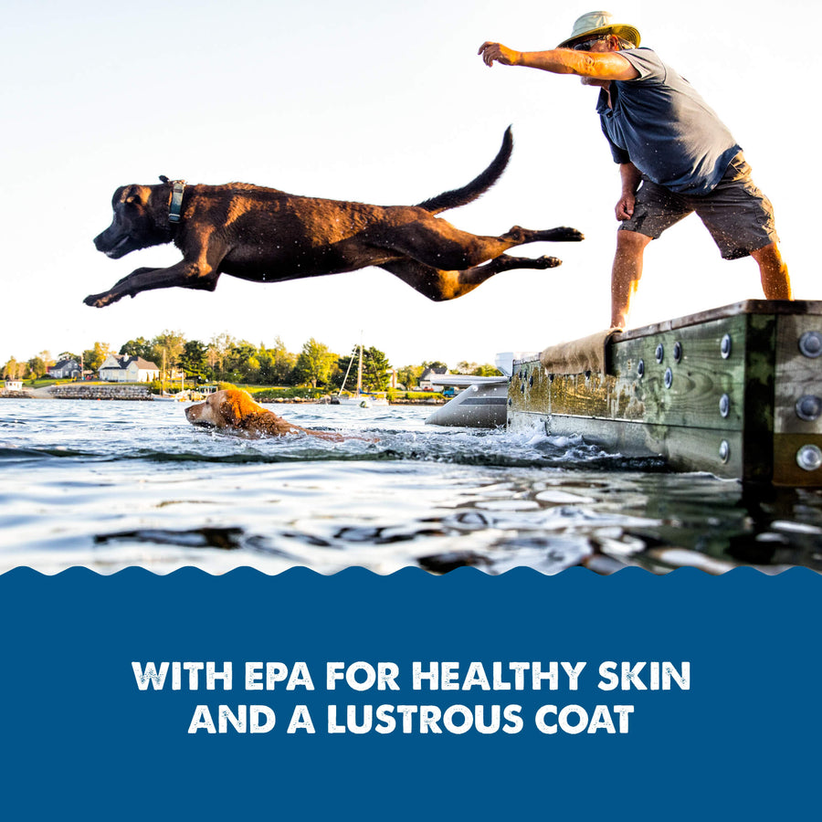 Grizzly Pollock Oil for Dogs with EPA for healthy Skin and Lustrous Coat