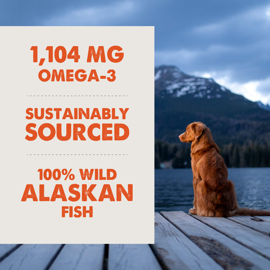 Features of Grizzly Wild Alaskan Salmon Oil Plus Dog Food Supplement
