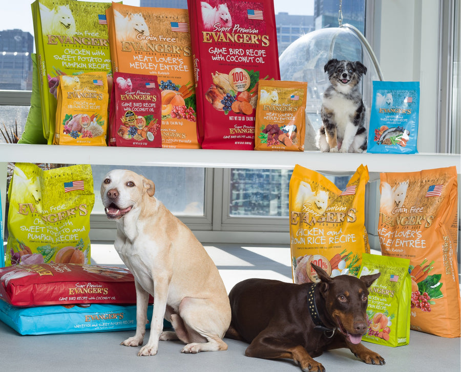 Evangers Super Premium Chicken with Brown Rice Dry Dog Food