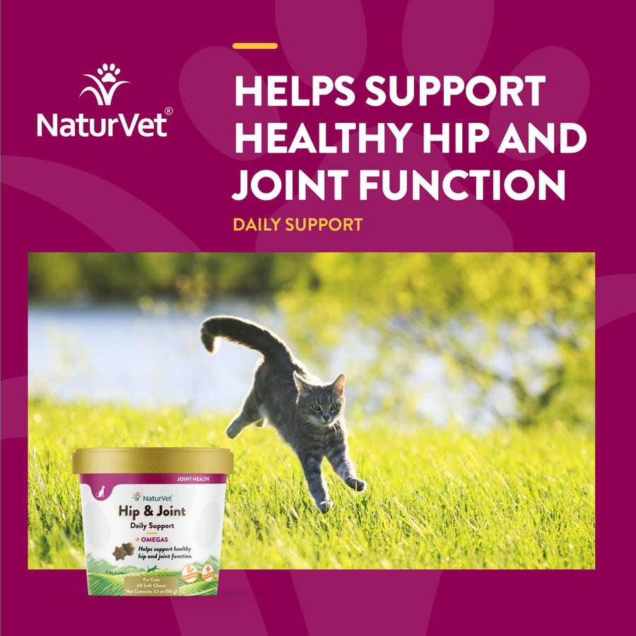 NaturVet Hip and Joint Plus Omegas 60-ct