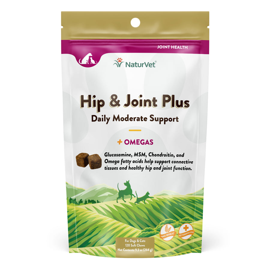 NaturVet Hip and Joint Plus Soft Chews for Dogs and Cats, 120 ct