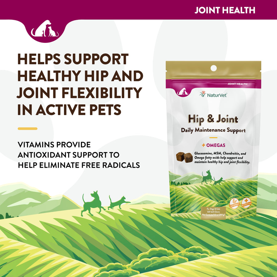 NaturVet Hip and Joint Plus Soft Chews for Dogs and Cats, 120 ct