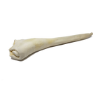 A piece of Honey I'm Home! Buffalo Horn Large Dog Chew