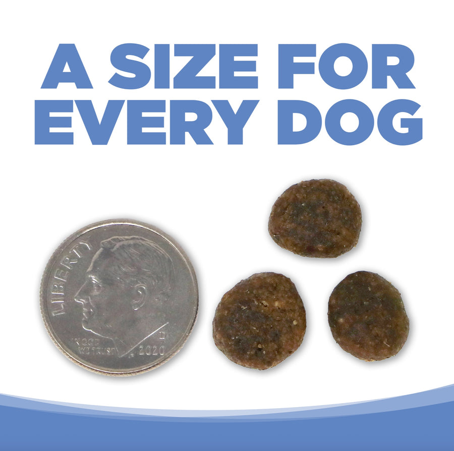 PureVita Grain Free Turkey & Sweet Potato Dry Dog Food
