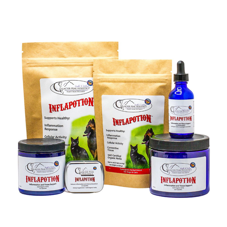 Glacier Peak Inflapotion Powder For Dogs & Cats