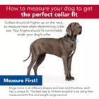 How to measure your dog to get the perfect collar fit. Image of a dog with a dotted line around neck to show how to measure for the proper size. Collars should sit higher up on the neck, so measure here when determining collar size. Two fingers should fit comfortable under your dog's collar. Measure First! Dogs come in all different shapes and sizes and therefore, each has a unique fit. The best way to fit them properly is by using their measurements first and weight range second.