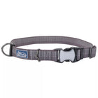 Grey collar with reflective material woven in the fabric. The pinch buckle is closed, showing reflective material on it.