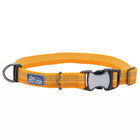 Orange collar with reflective material woven in the fabric. The pinch buckle is closed, showing reflective material on the buckle.