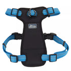 Close up of harness. Showing padded center piece, with the head strap and body strap. D ring in the center for leash attachment.
