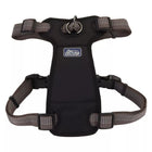 Close up of harness. Showing padded center piece, with the head strap and body strap. D ring in the center for leash attachment.