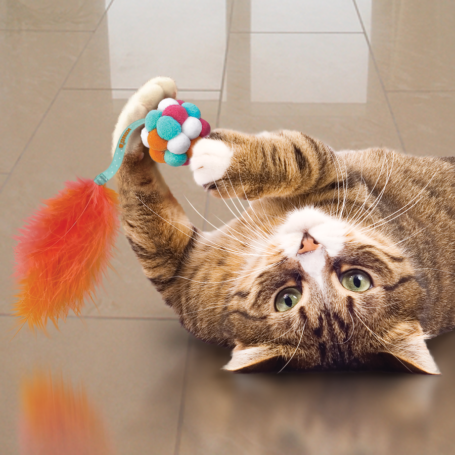 Cat playing KONG Active Bubble Ball Cat Toy