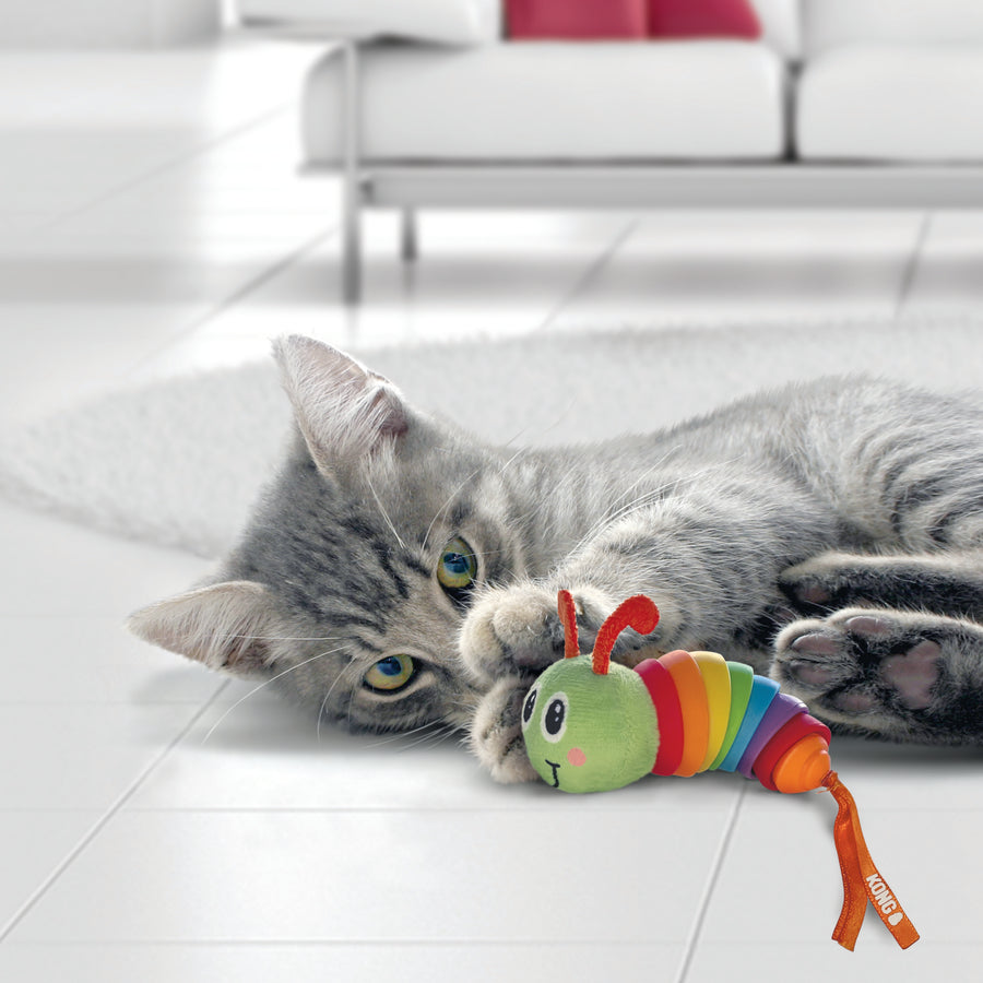 Cat playing KONG Bat-A-Bout Clackz Caterpillar Cat Toy