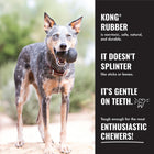 KONG Extreme Flyer Dog Toy Dog Chewing on Kong Rubber Toy Feature