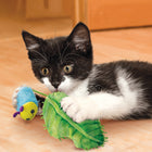 Cat playing with KONG Flingeroo Caterpiller Cat Toy