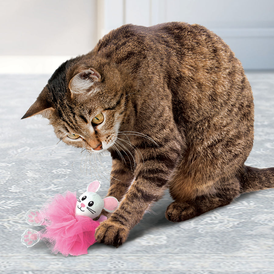 Cat playing with KONG Flingeroo Tutu Cat Toy in Pink