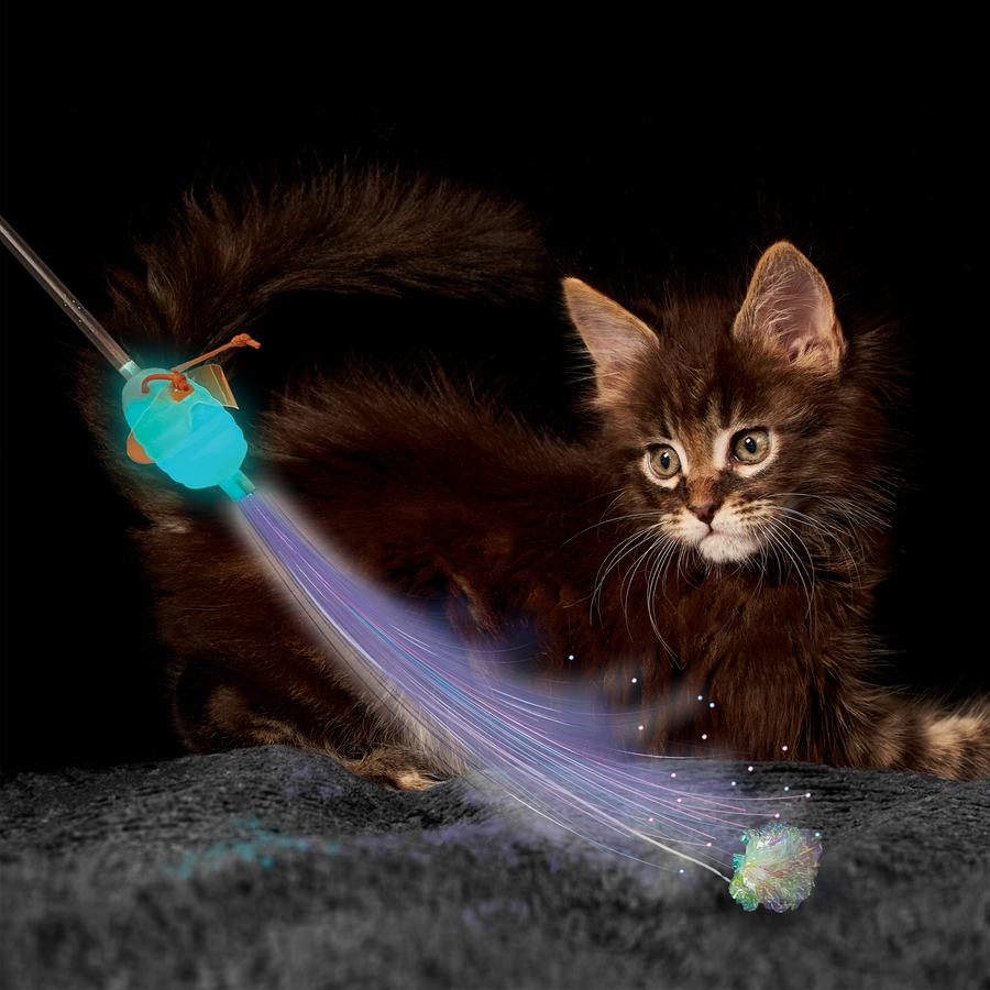 Cat Playing KONG Glow Firefly Teaser Cat Toy