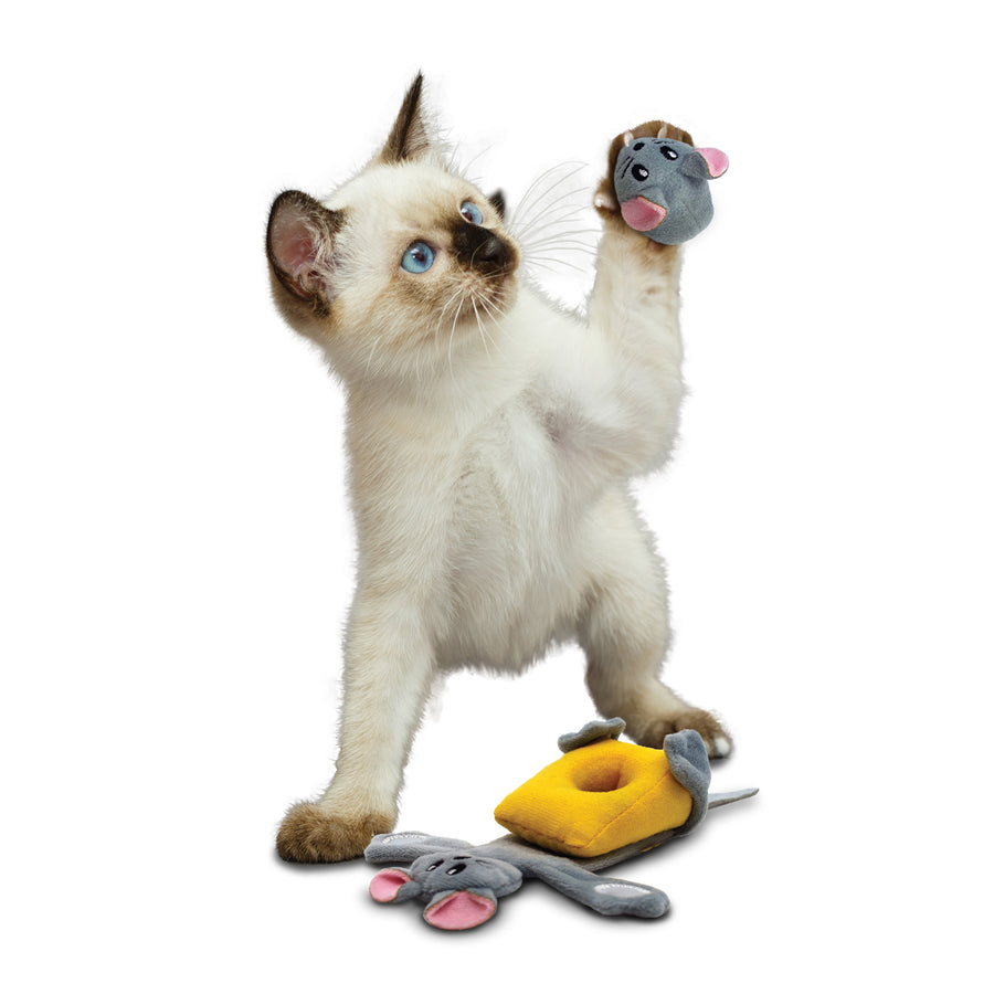 Cat playing with KONG Pull-A-Partz Cheezy Cat Toys