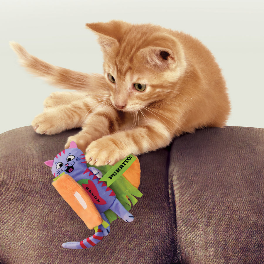 Cat playing with KONG Pull-A-Partz Purrito Cat Toys