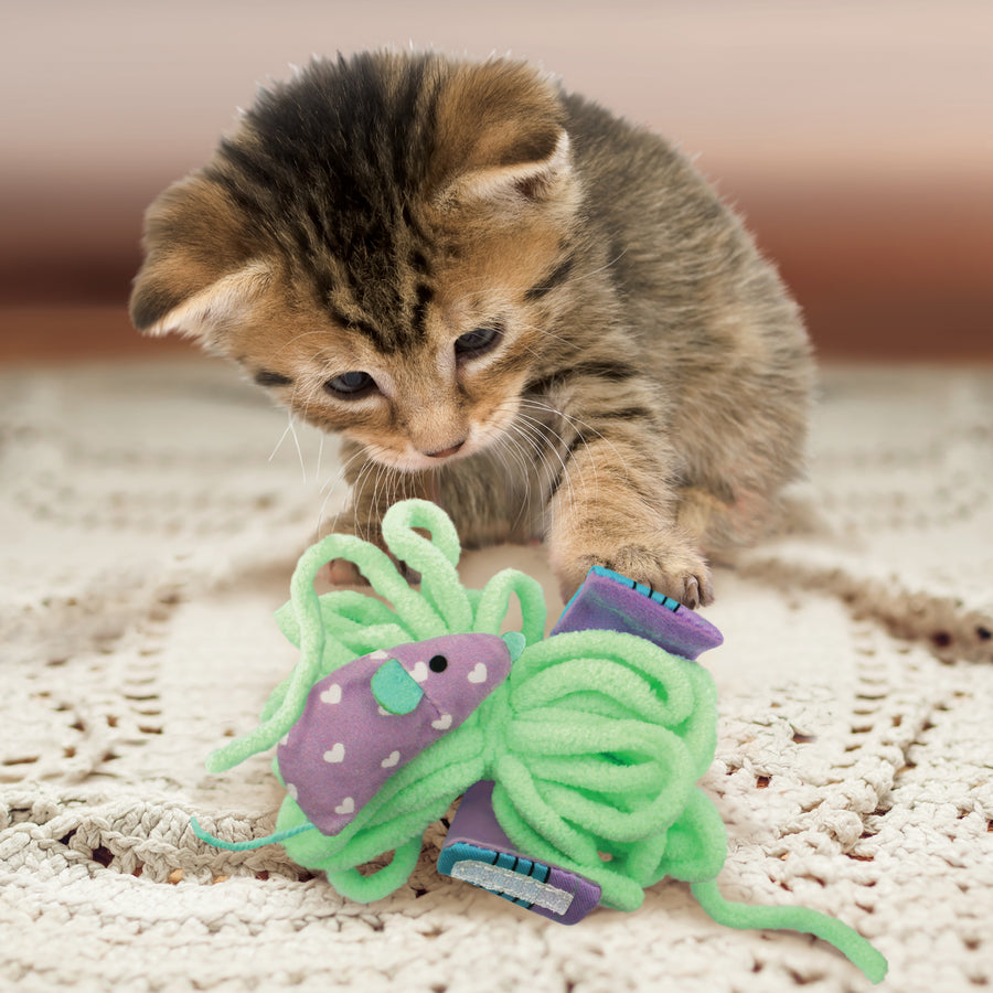 Cat playing with KONG Pull-A-Partz Yarnz Cat Toys