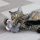 Cat playing KONG Snuzzles Mouse Cat Toy