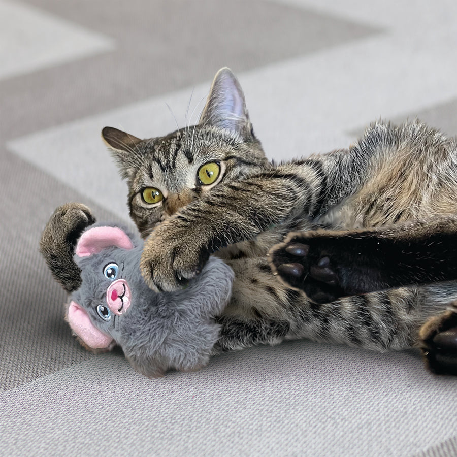 Cat playing KONG Snuzzles Mouse Cat Toy