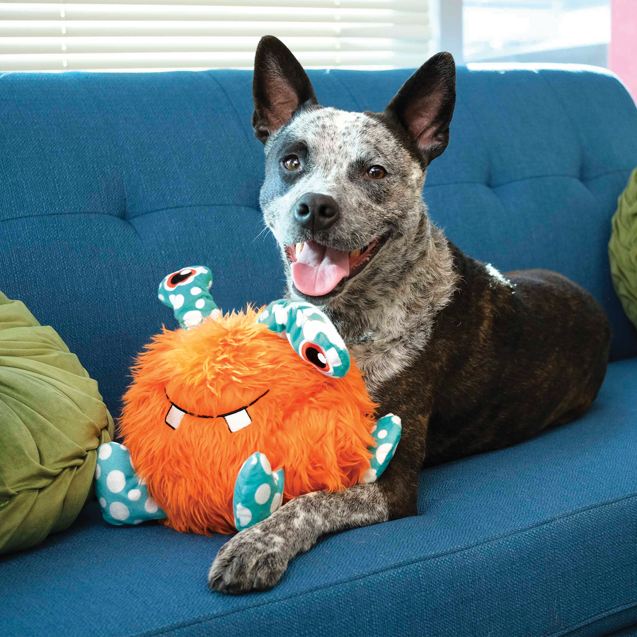Dog using KONG Whipples X-Large Dog Toy Orange