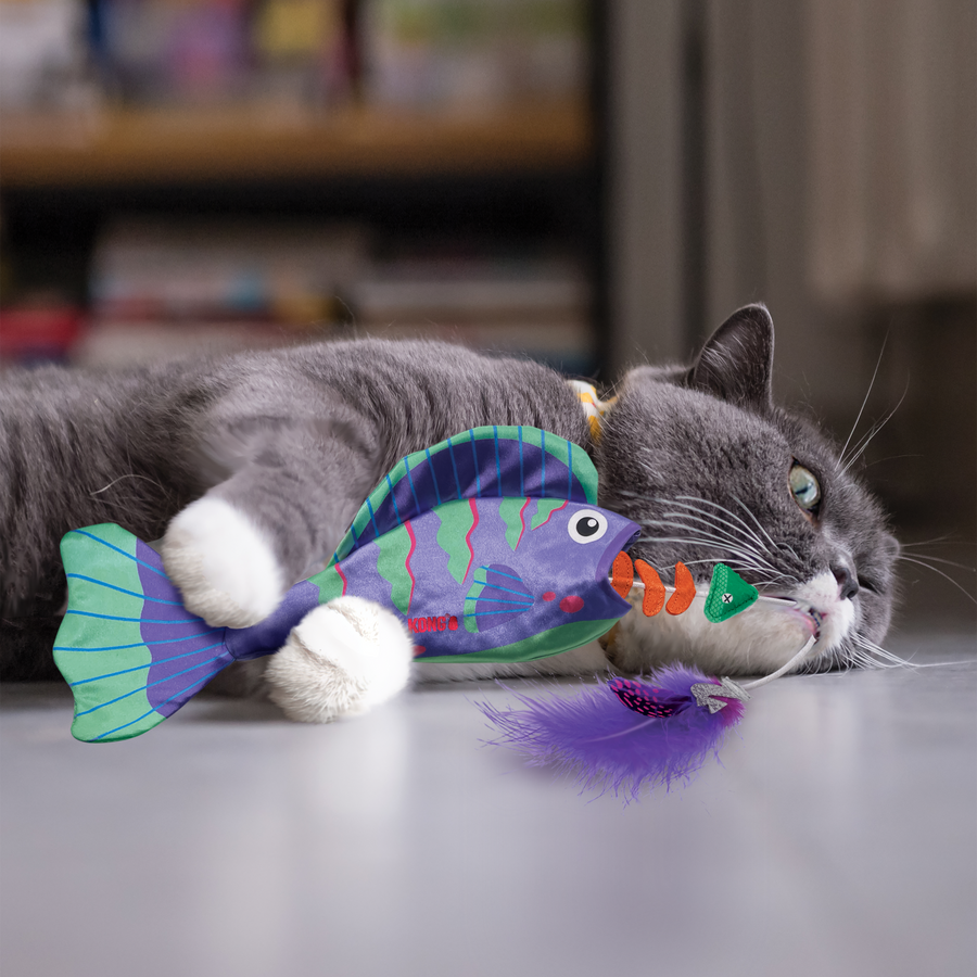 Cat playing KONG Wrangler Angler Fish Cat Toy Purple