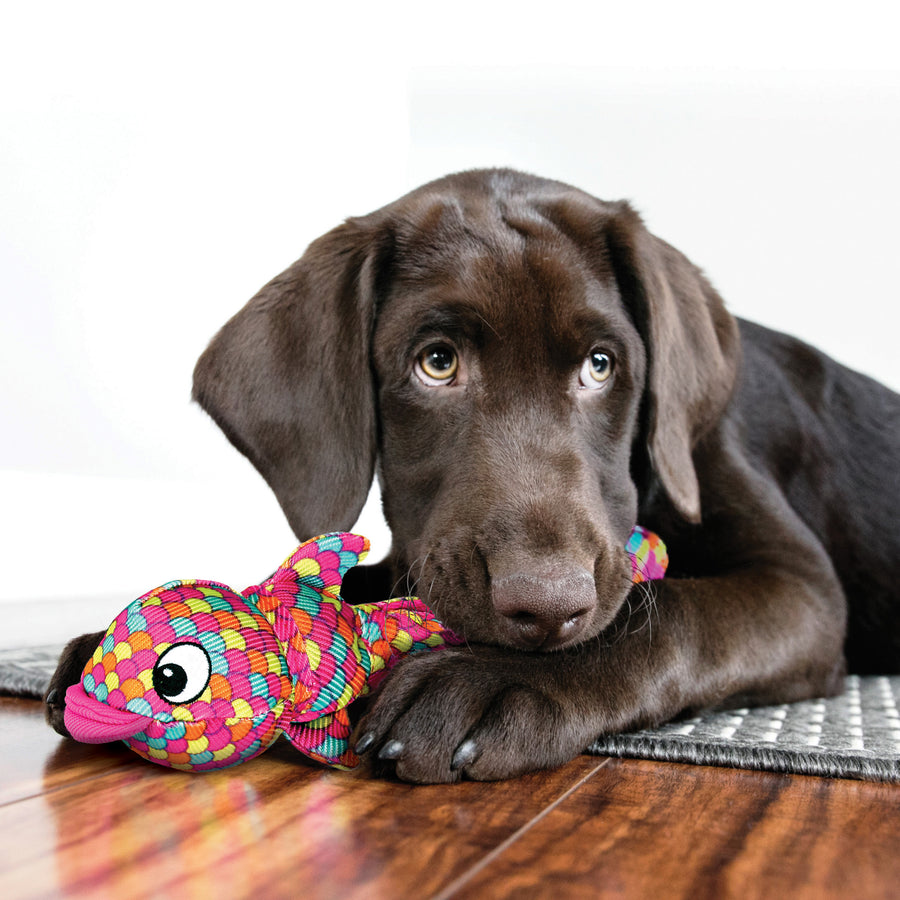 A chocolate Labrador puppy lying on a wooden floor with its head resting on its front paws. The puppy gazes forward with soft, brown eyes and holds a KONG Wubba Finz Pink Dog Toy between its paws. The toy is designed like a fish, with a vibrant multicolored scale pattern and long fabric fins, making it ideal for interactive play. A portion of a gray rug is visible beside the puppy, and the background is a clean, white wall.