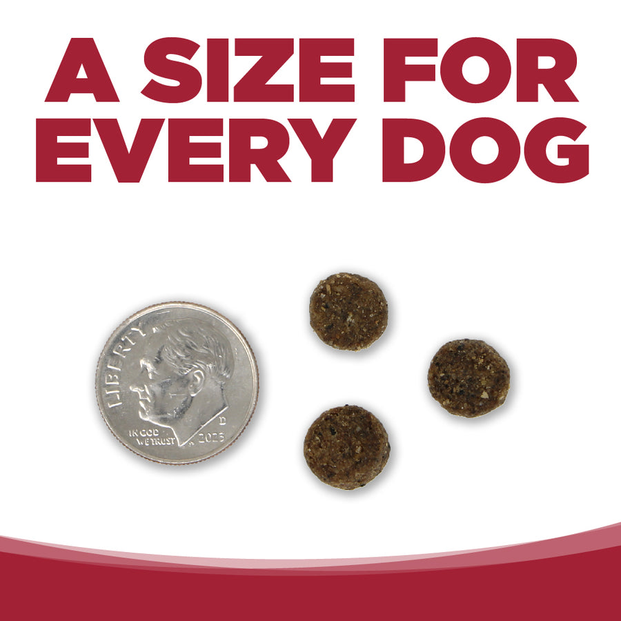 A size for every dog. Kibble approximately 2/3rds size of a dime.