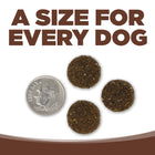 A size for every dog. Kibble approximately the size of a dime.
