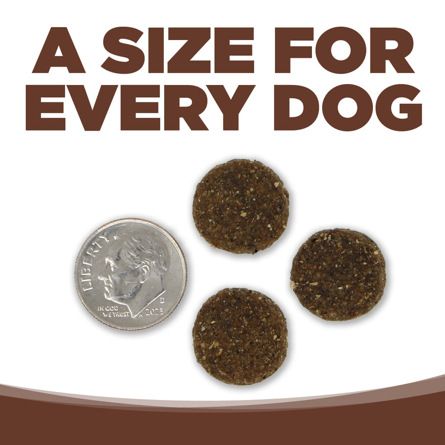 A size for every dog. Kibble approximately the size of a dime.