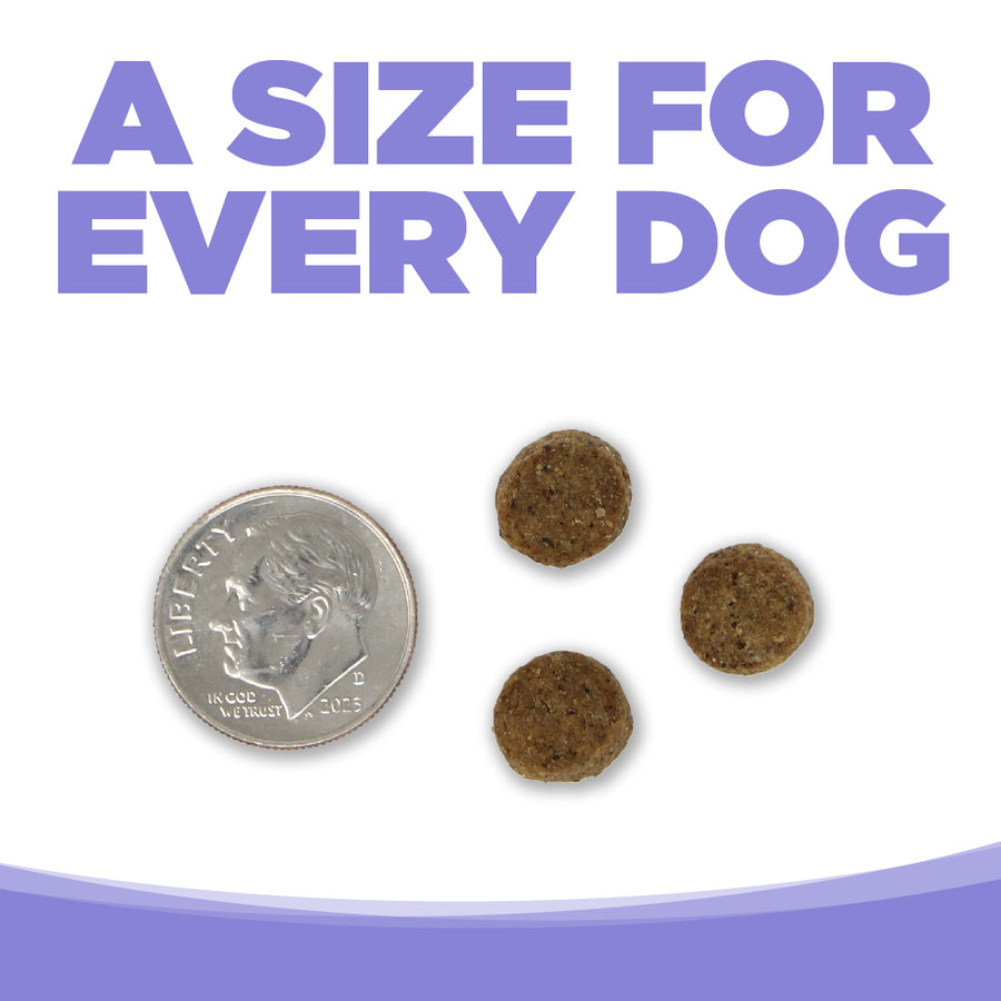 A size for every dog. Kibble approximately 2/3rds size of a dime.