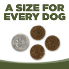 A size for every dog. Kibble approximately the size of a dime.