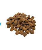 A size for every dog.