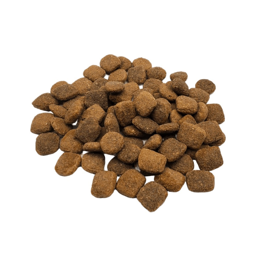 A size for every dog.