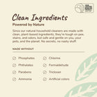 Alzoo Severe Accident Remover Fresh Lavender Scent made with clean, plant-based ingredients, tough on pee, stains and odors. 