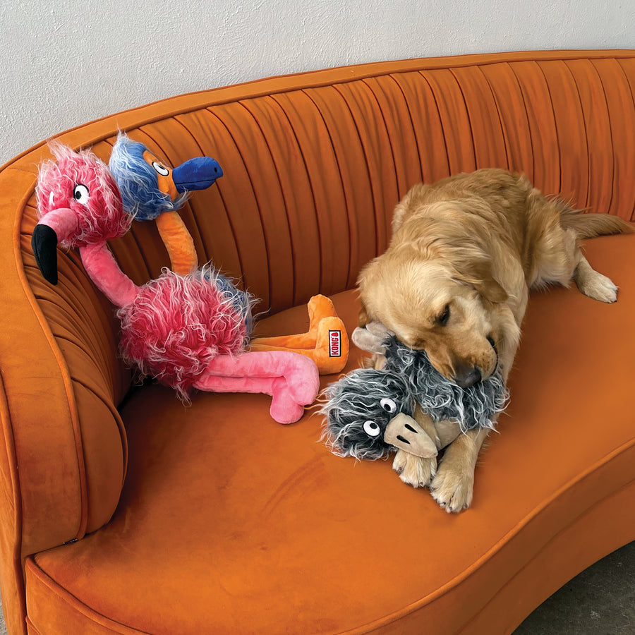 A golden retriever lounges on an orange velvet couch, gently biting a gray plush bird toy with shaggy fur. Next to the dog, a pink and blue plush flamingo toy from KONG with fluffy textures and dangling legs rests against the couch’s armrest.