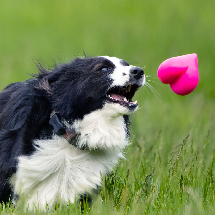 Ruff Dawg Heart Dog Toy