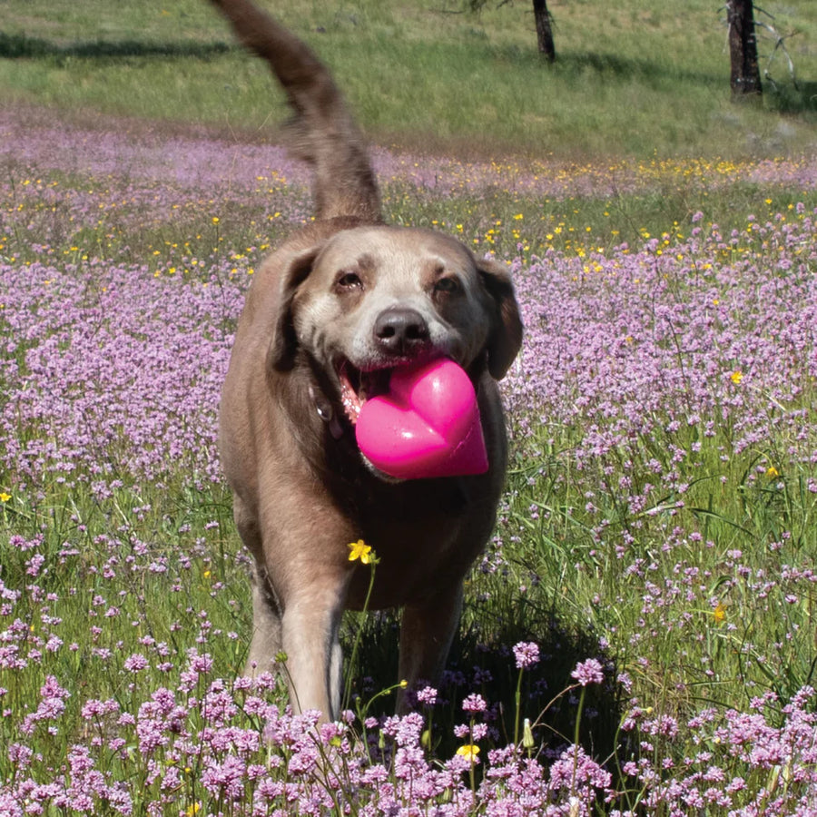 Ruff Dawg Heart Dog Toy